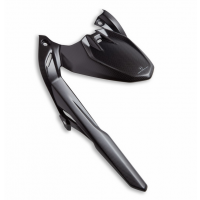 Ducati Carbon Rear Mudguard for Monster