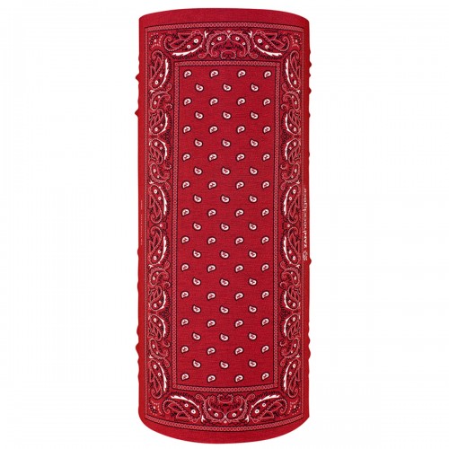 ZANheadgear Motley Tube Red Paisley