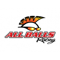 All Balls Racing