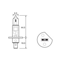 Bulb - Halogen - 12V 55W H1 P14.5S