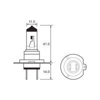 Bulb - Halogen -  12V 55W H7 PX26D