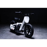 AZP12 (2).jpg