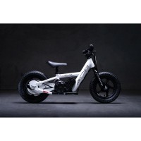 AZP12 (3).jpg