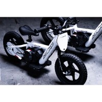 AZP12 (1).jpg